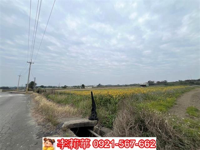 台南農地-7