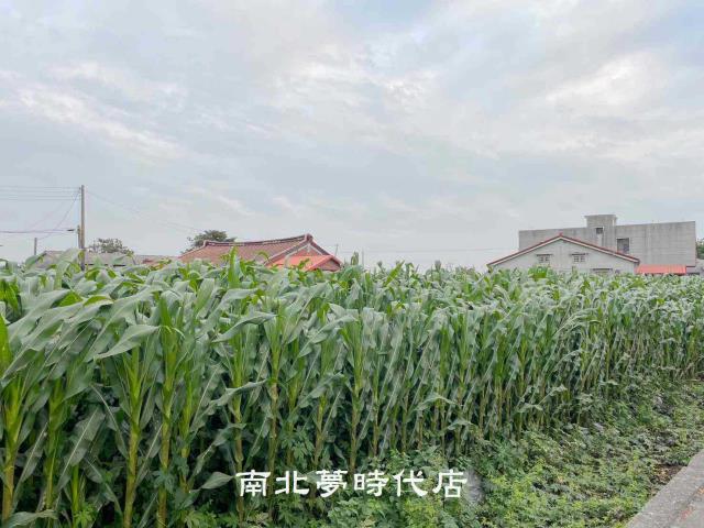 台南鹽水建地-2