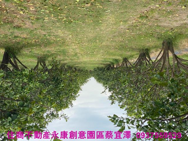 台南麻豆農地-2