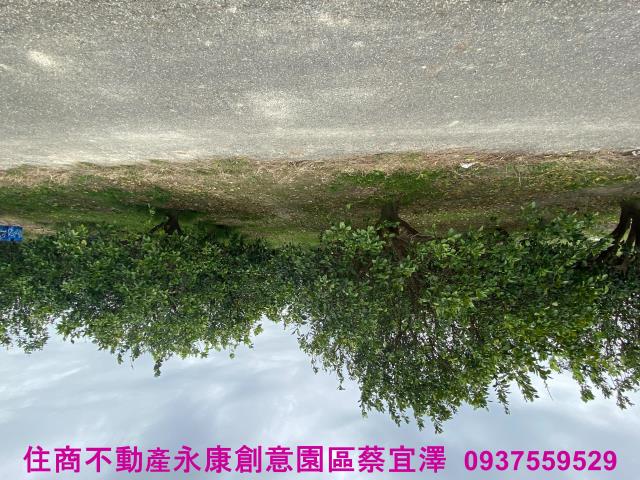 台南麻豆農地-4