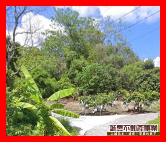 台南南化農地-2
