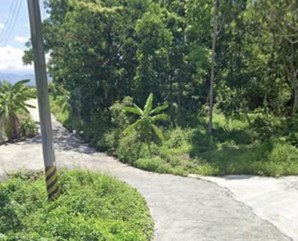 台南南化農地-5