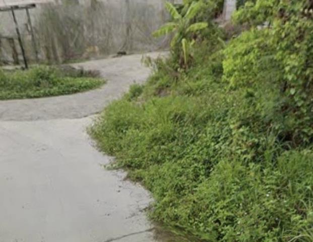 台南南化農地-7