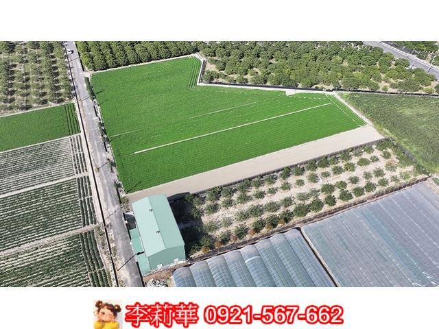 台南麻豆農地-12
