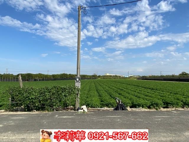 台南麻豆農地-4