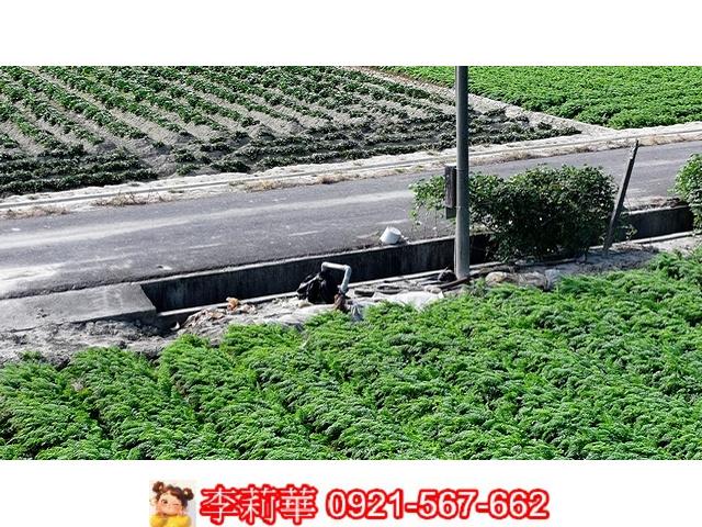 台南麻豆農地-5