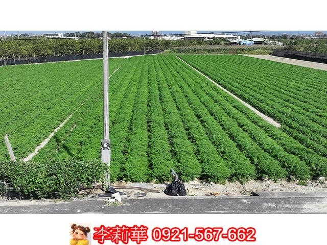 台南麻豆農地-9