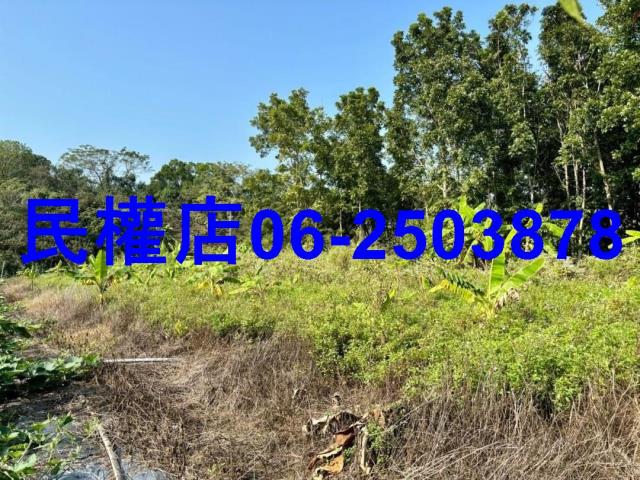 台南南化農地-10