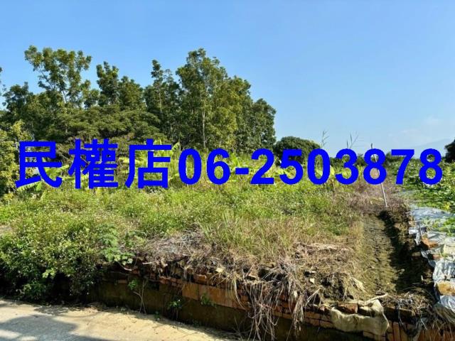 台南南化農地-11
