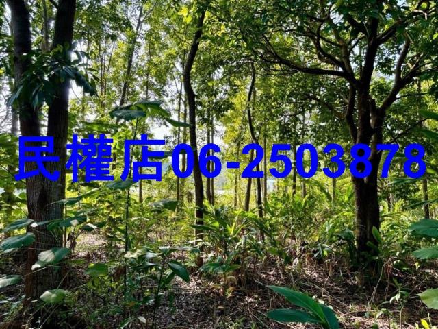 台南南化農地-12
