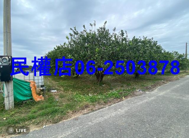 台南麻豆農地-3