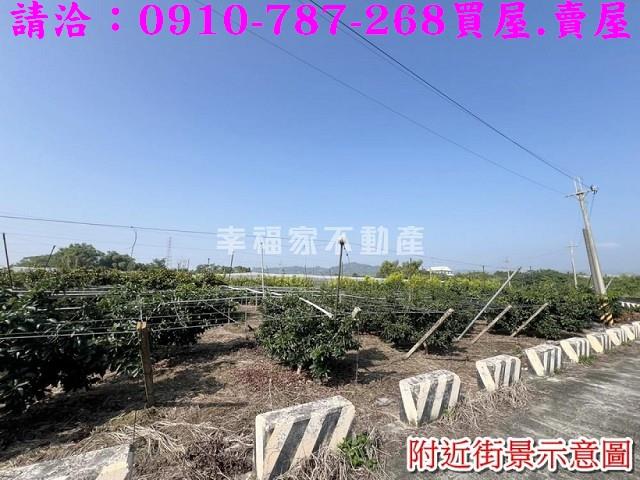 台南玉井農地-10