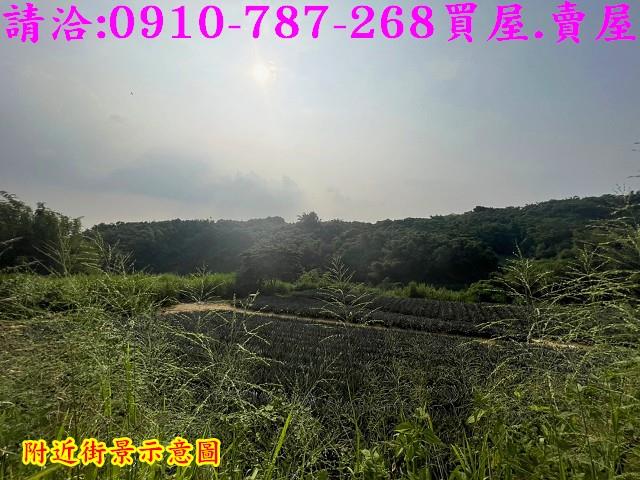 關廟農地-14