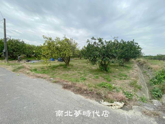 麻豆農地-6