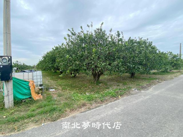 台南麻豆農地-3
