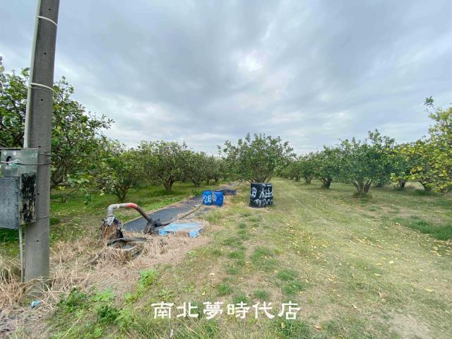 台南麻豆農地-5