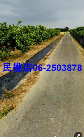 台南農地-10