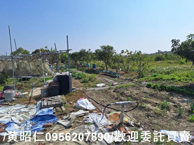 仁德農地-3