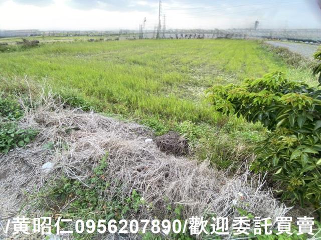 台南新市農地-3