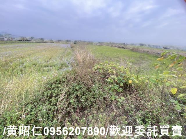 台南新市農地-4