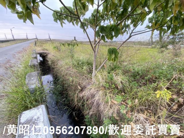 台南新市農地-9
