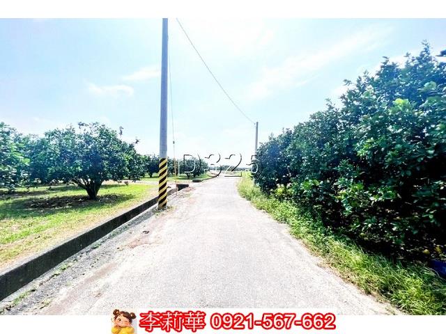 麻豆農地-1