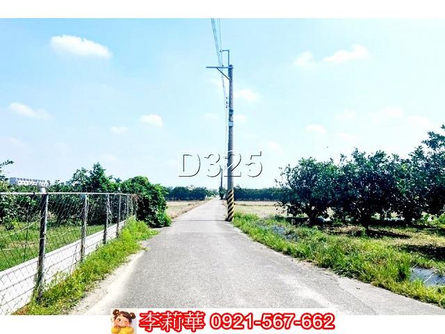 麻豆農地-2