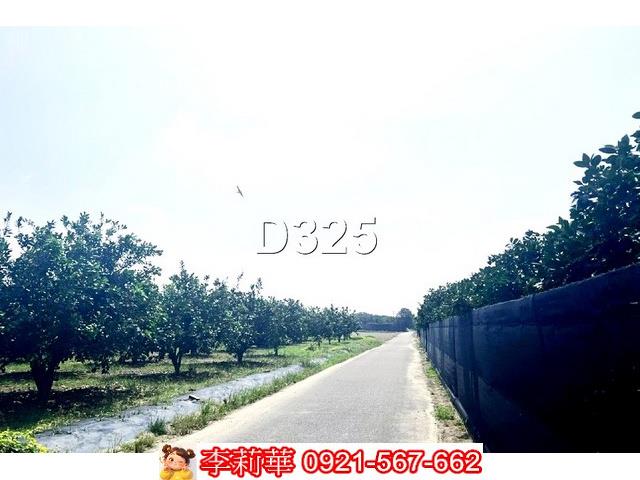 麻豆農地-3