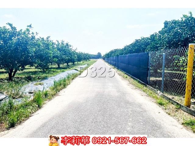 麻豆農地-4