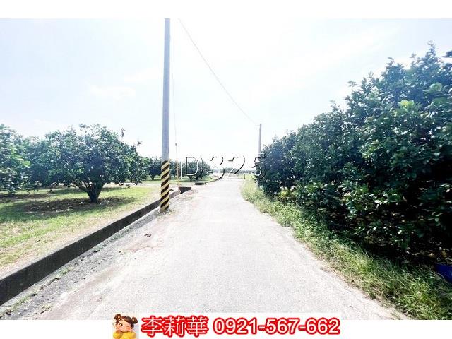 麻豆農地-5