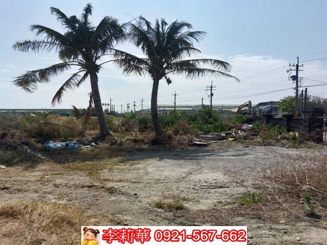 安南農地-14