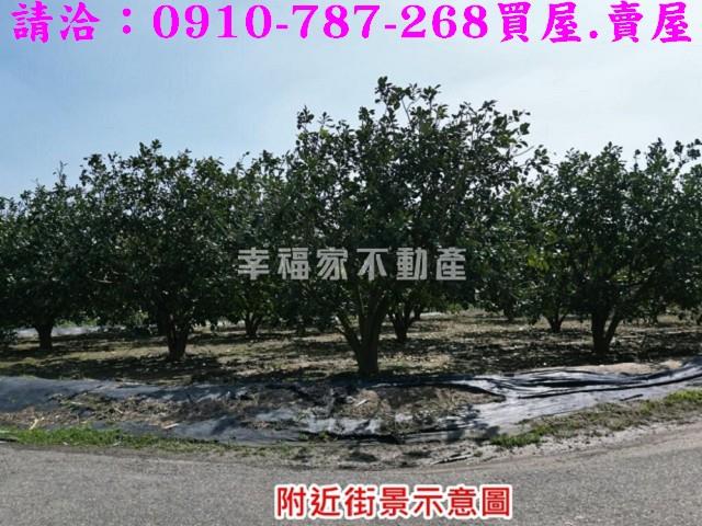 麻豆農地-15