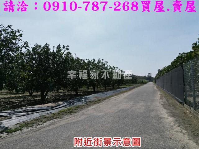 麻豆農地-1
