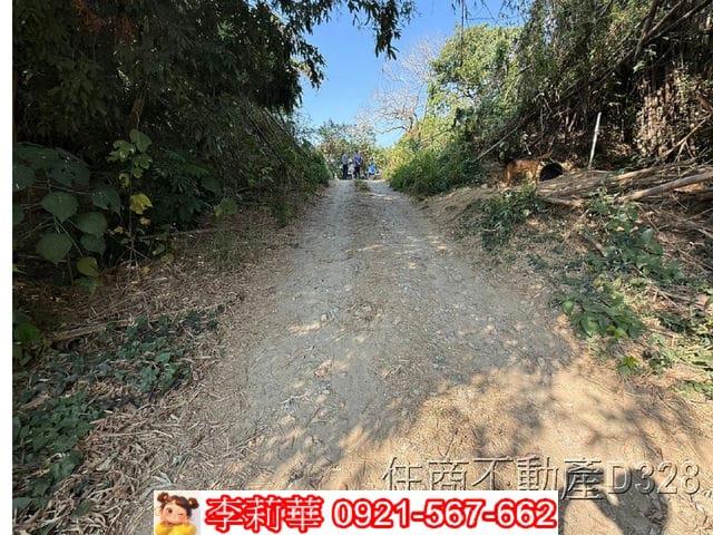 歸仁農地-4