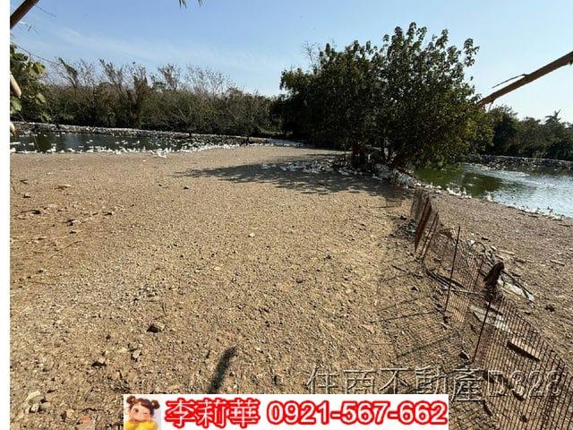歸仁農地-8