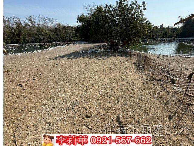 歸仁農地-9