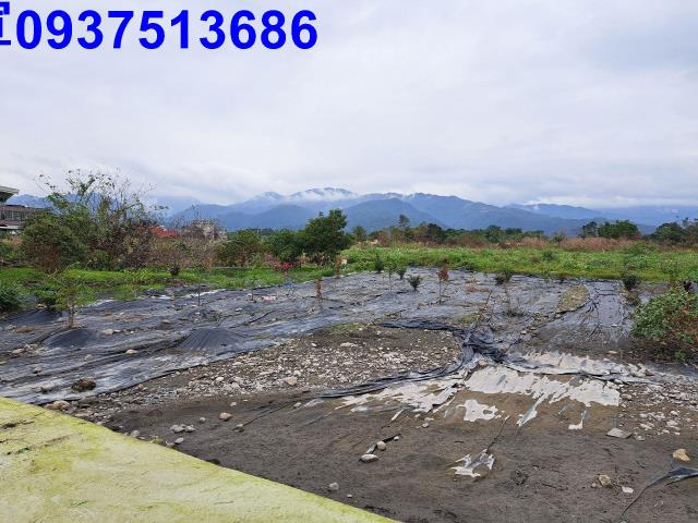 宜蘭三星農地-1