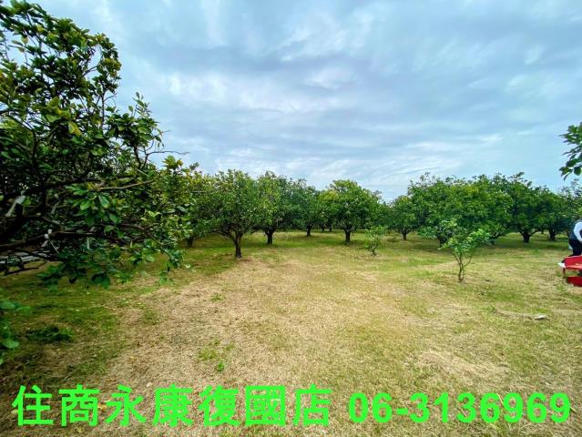 台南麻豆農地-4