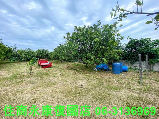 台南麻豆農地-5