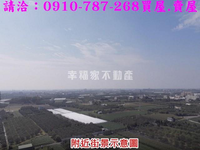 麻豆農地-10