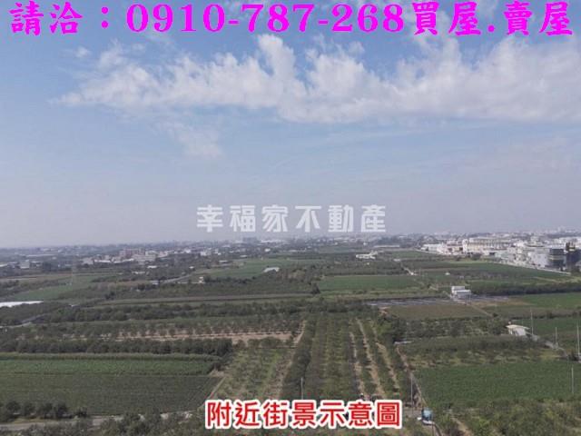 麻豆農地-11