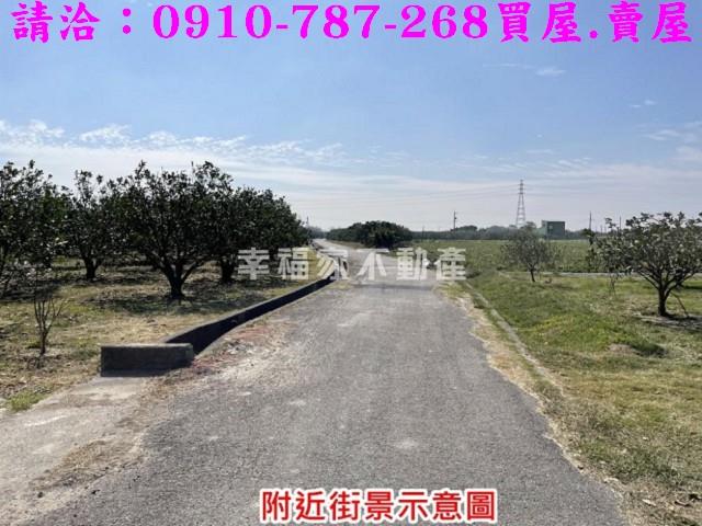 麻豆農地-1