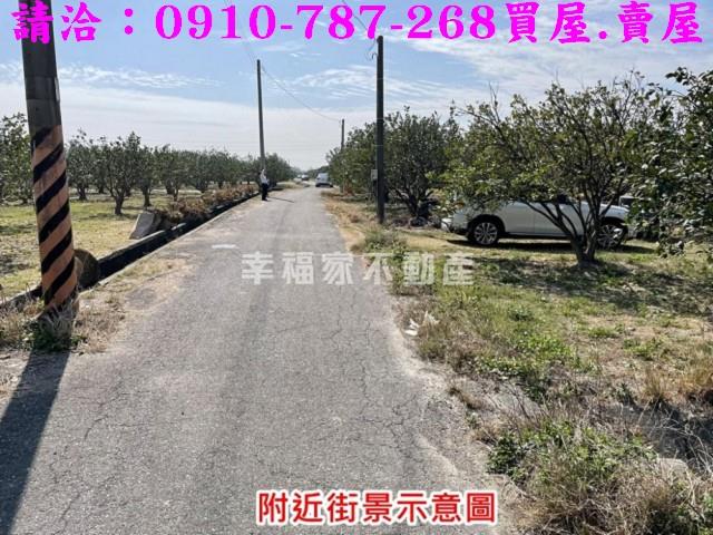 麻豆農地-2