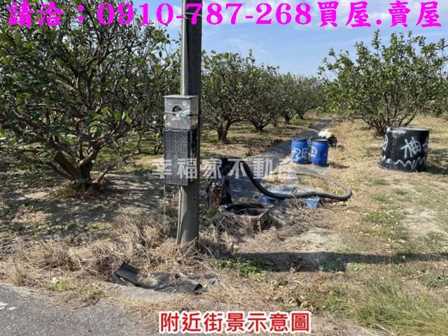 麻豆農地-3