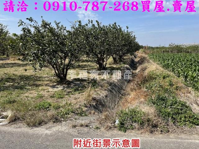 麻豆農地-4