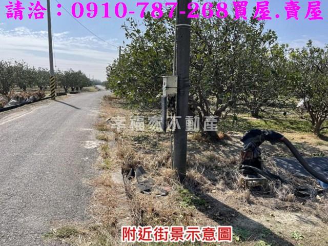 麻豆農地-7