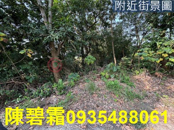 台南大內農地-4