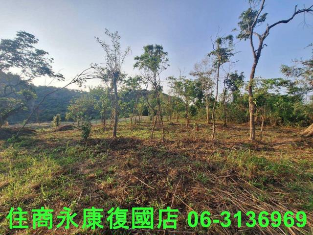 台南南化農地-12