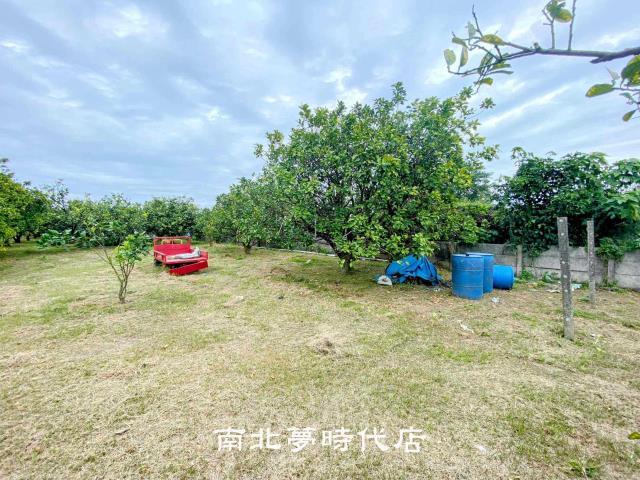 台南麻豆農地-5