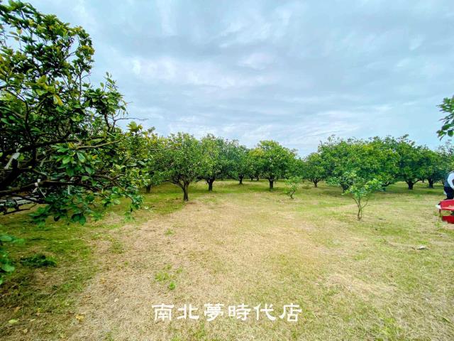 台南麻豆農地-6